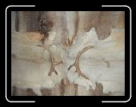 0212_0301 Sverige 129 * 800 x 600 * (49KB)